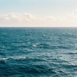 Landscape Photograph of Body of Water