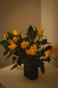 A stylish bouquet of bright yellow roses in a dark vase, creating a warm ambiance.