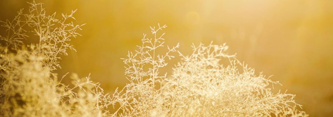 Soins par Magnétisme Liliane Marquier