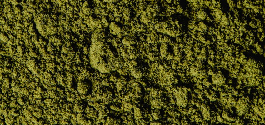 Closeup view of coarse green matcha powder texture, ideal for backgrounds and culinary themes.